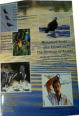 Mohamed Arabi Birdwatching guide