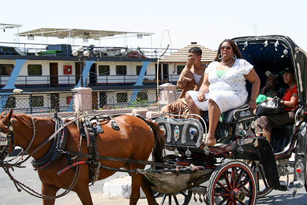 Too many for one horse: have pity! and afford two carriages