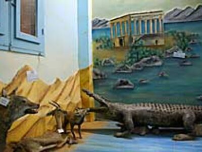 Animalia_animals-UpperEgypt