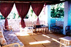 Animalia_terrace-on-roof