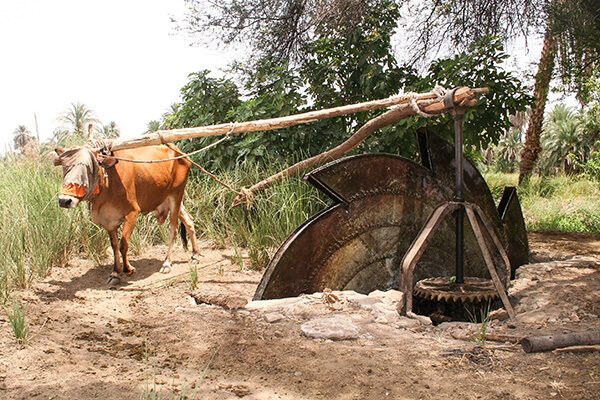 Egyptian-Watermill_2618 Egyptian-Watermill_2618