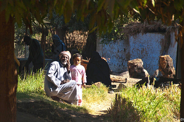 Elephantine-family_Claude-LeRoux