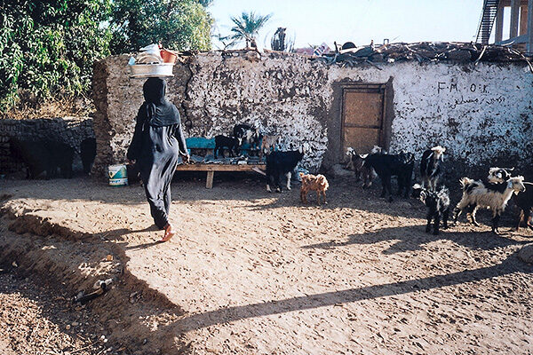 Elephantine_walking_woman