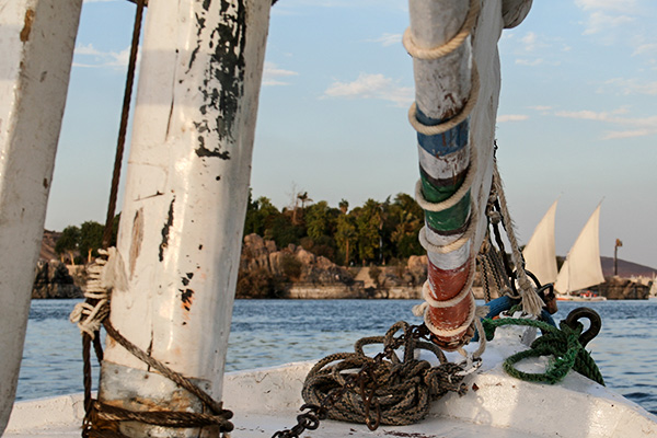 Sail-back_Aswan-Individual_3502 Sail-back_Aswan-Individual_3502